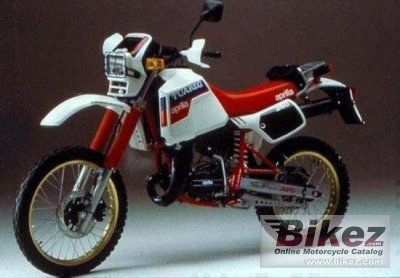 250 Tuareg