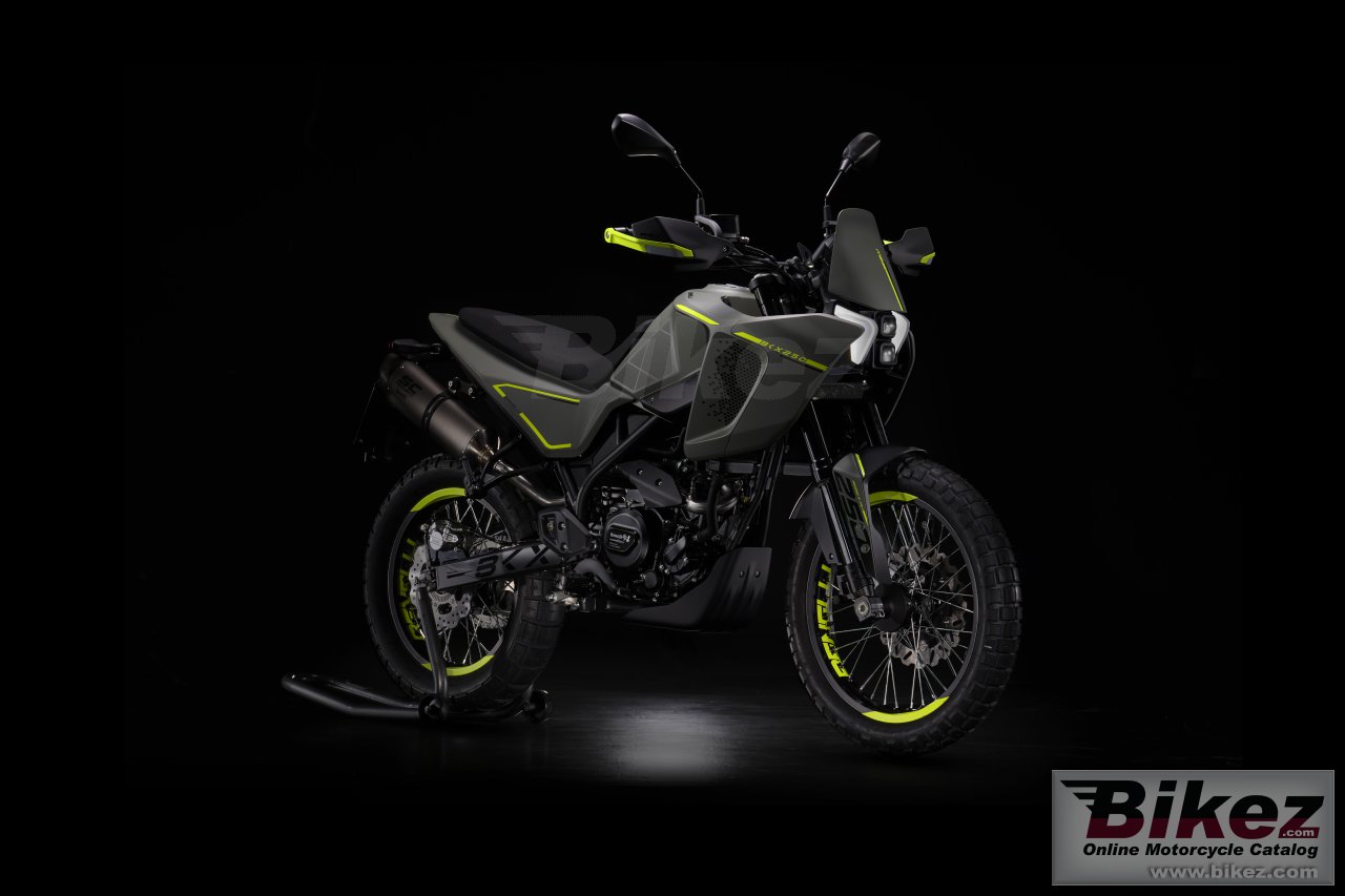 Bkx 250