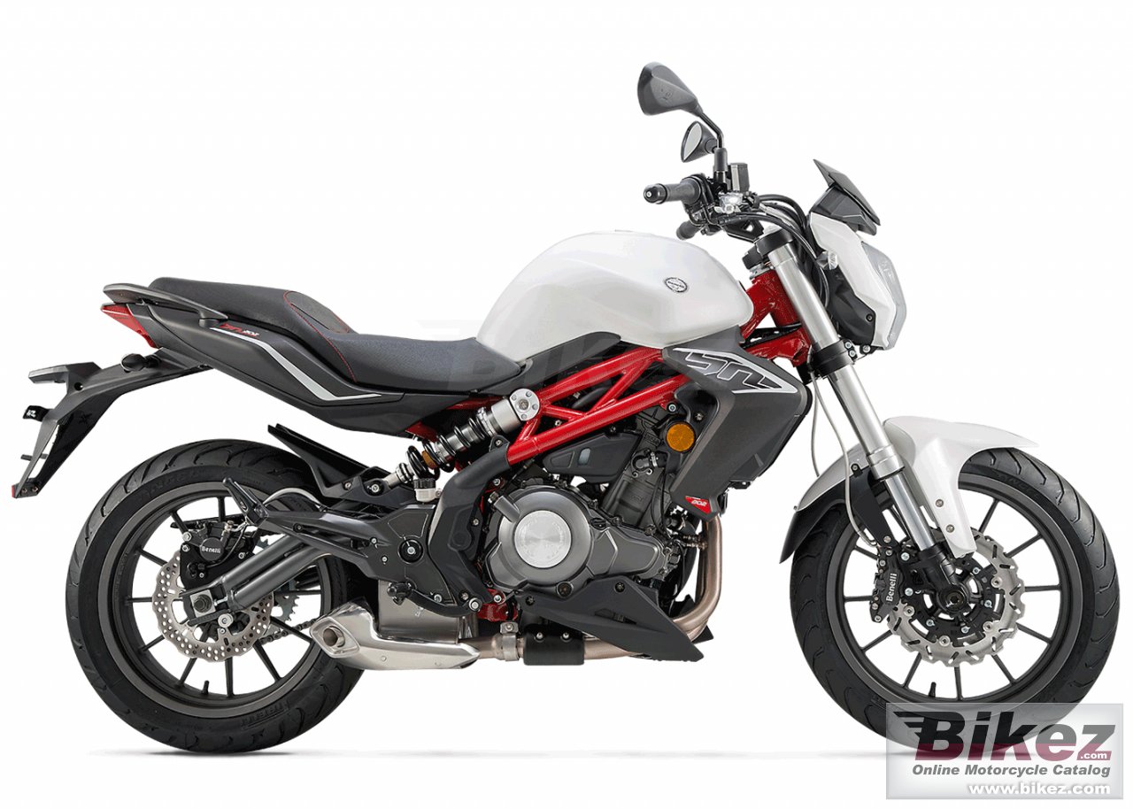 Benelli Bn 302