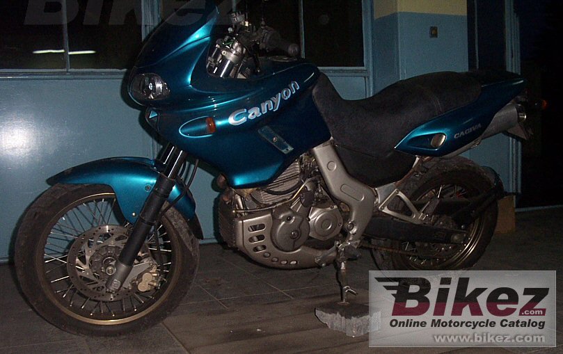 Canyon 600