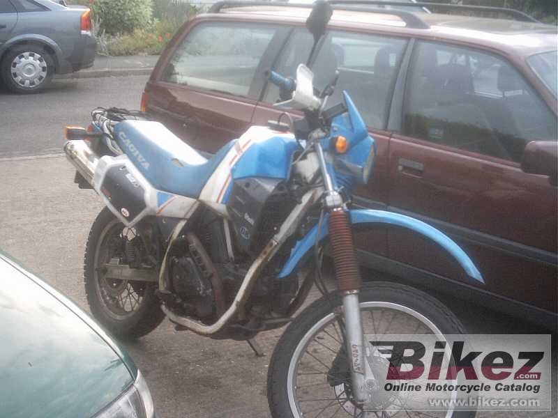 Elefant 350
