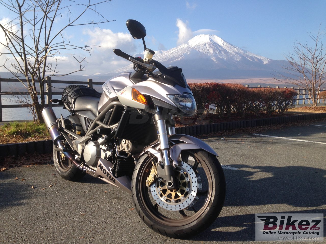 V Raptor 1000