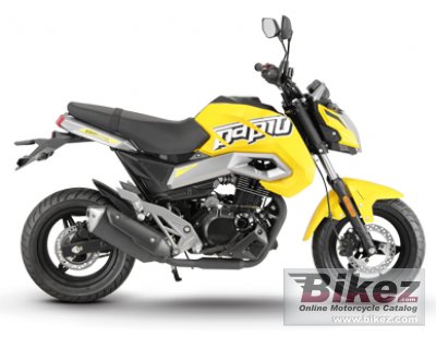 Moto St Papio