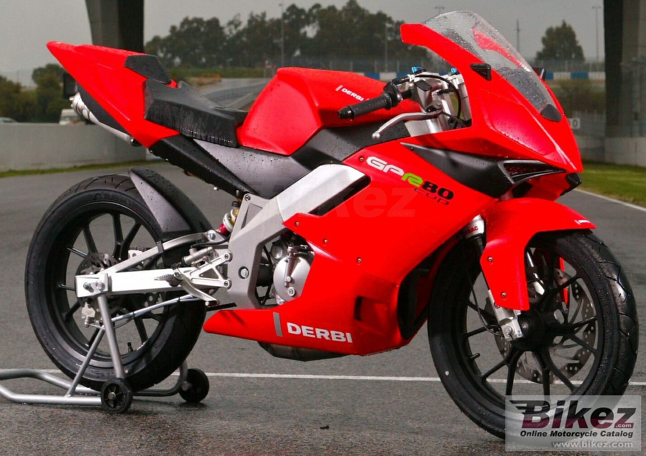 Gpr 80 Cup