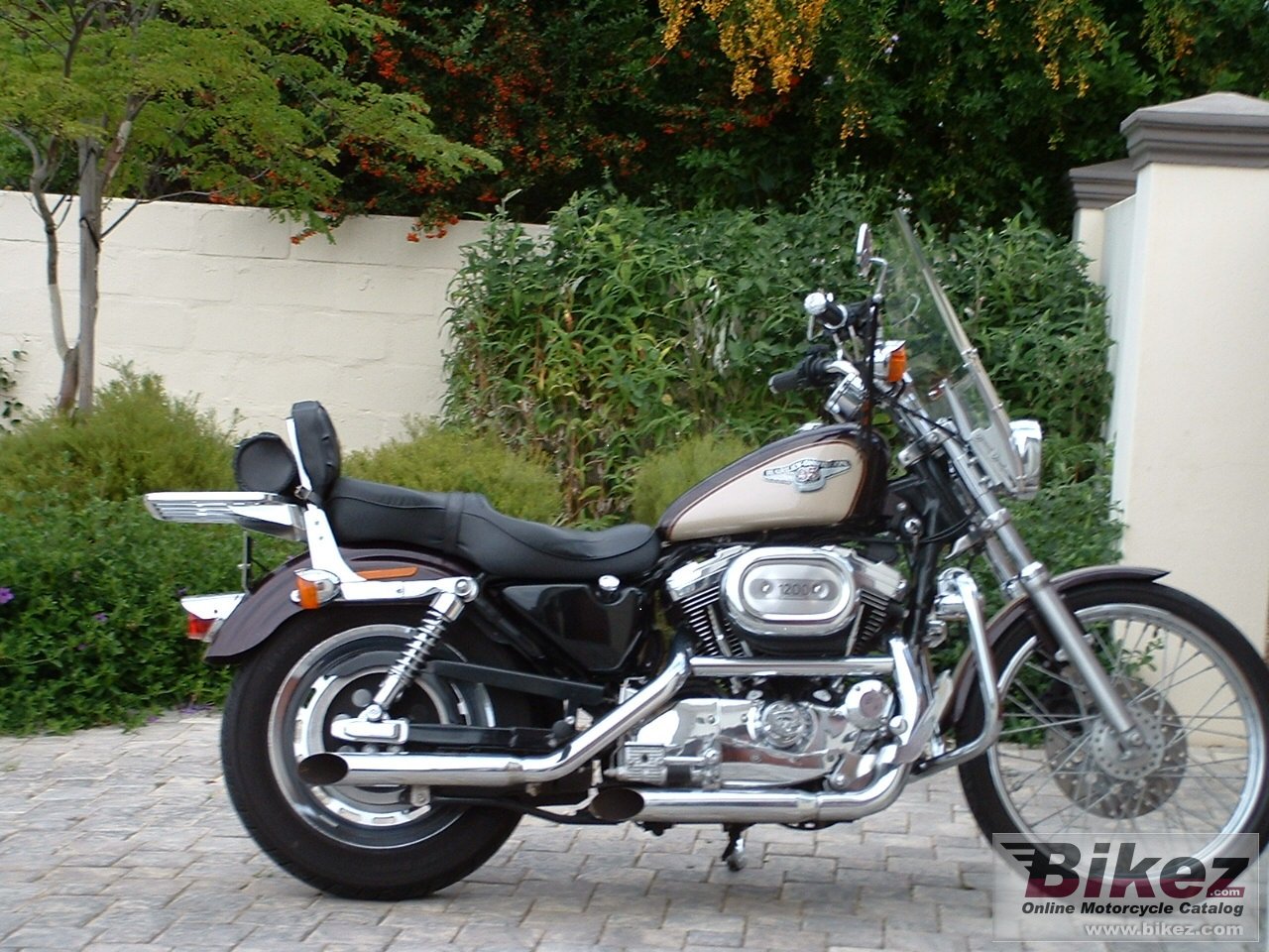 1200 Sportster Custom