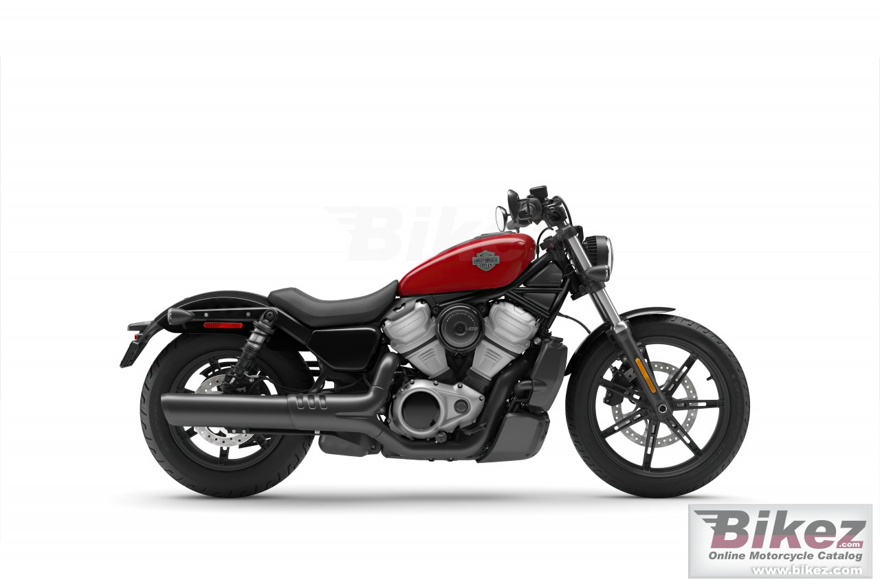 Nightster
