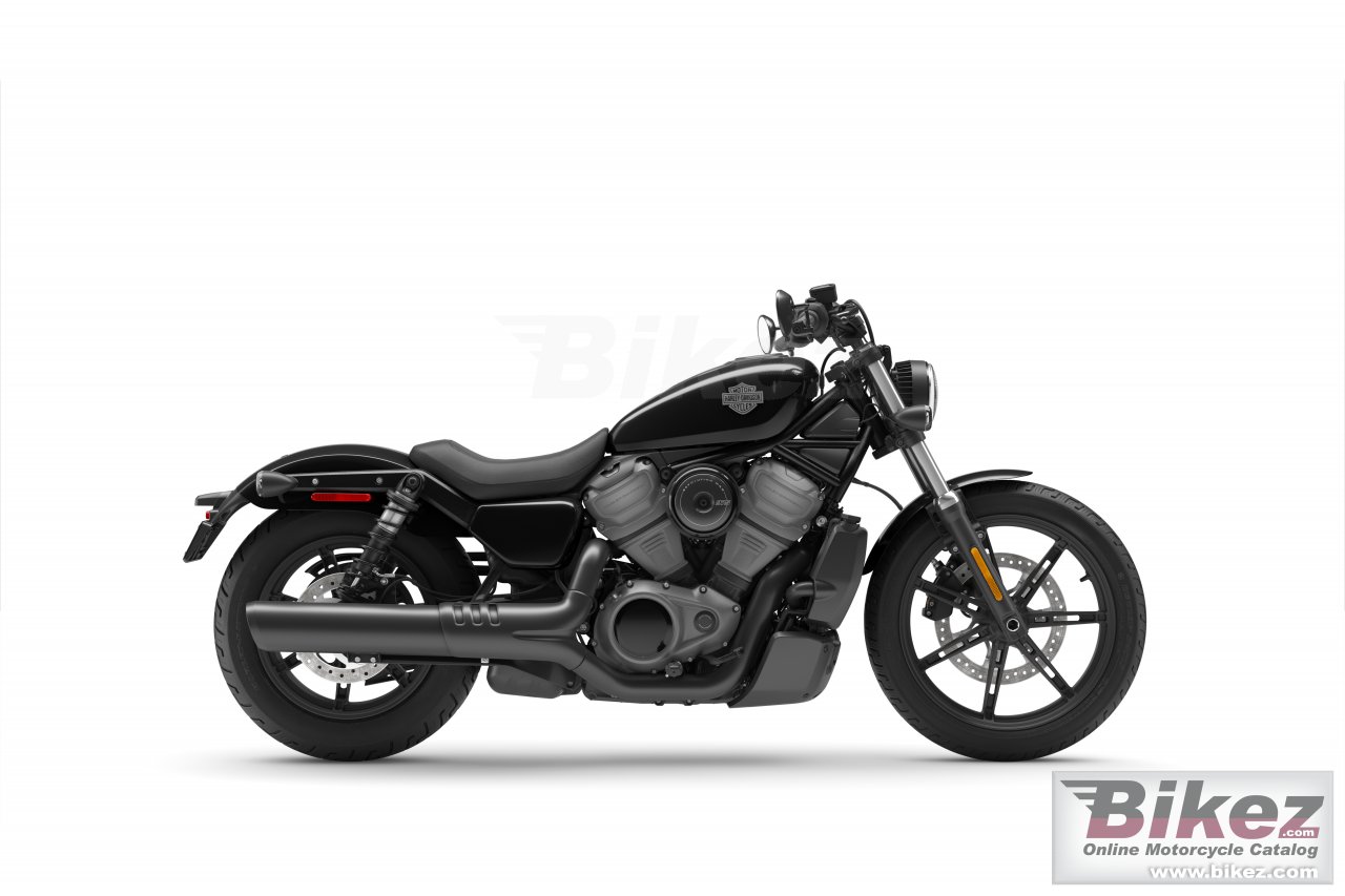 Nightster
