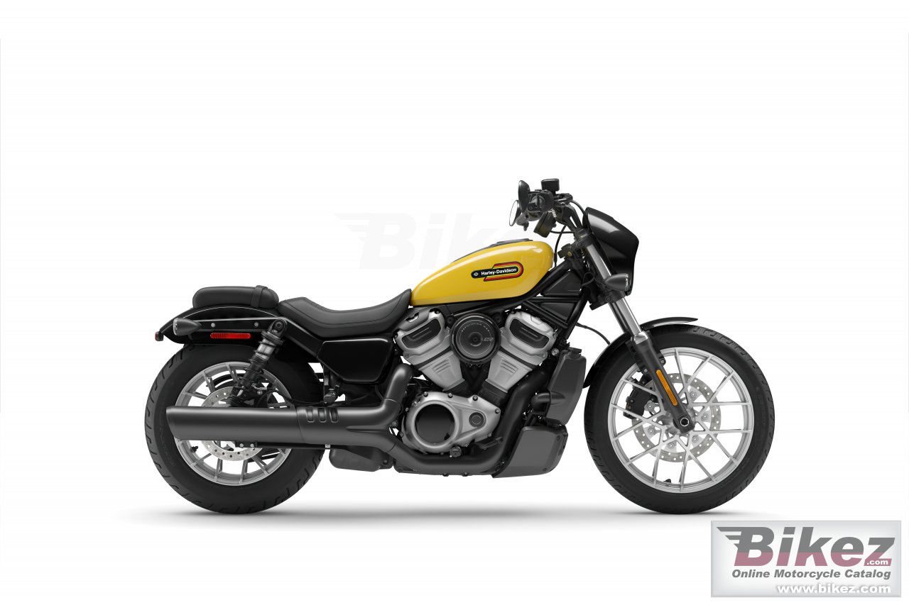 Nightster Special