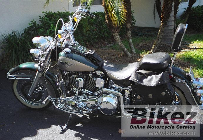 Softail Custom