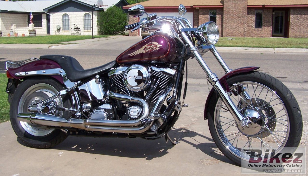 Harley Davidson Softail Custom