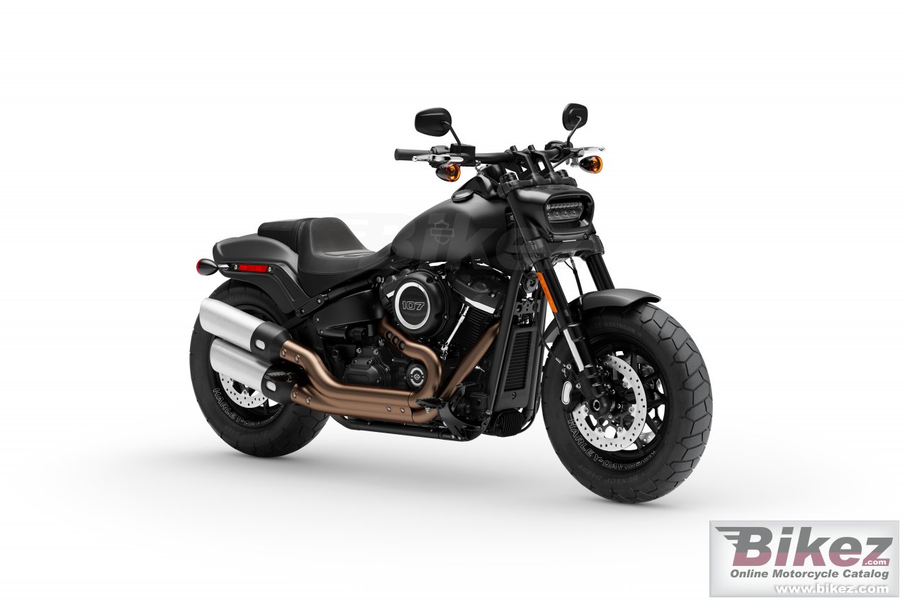 Softail Fat Bob