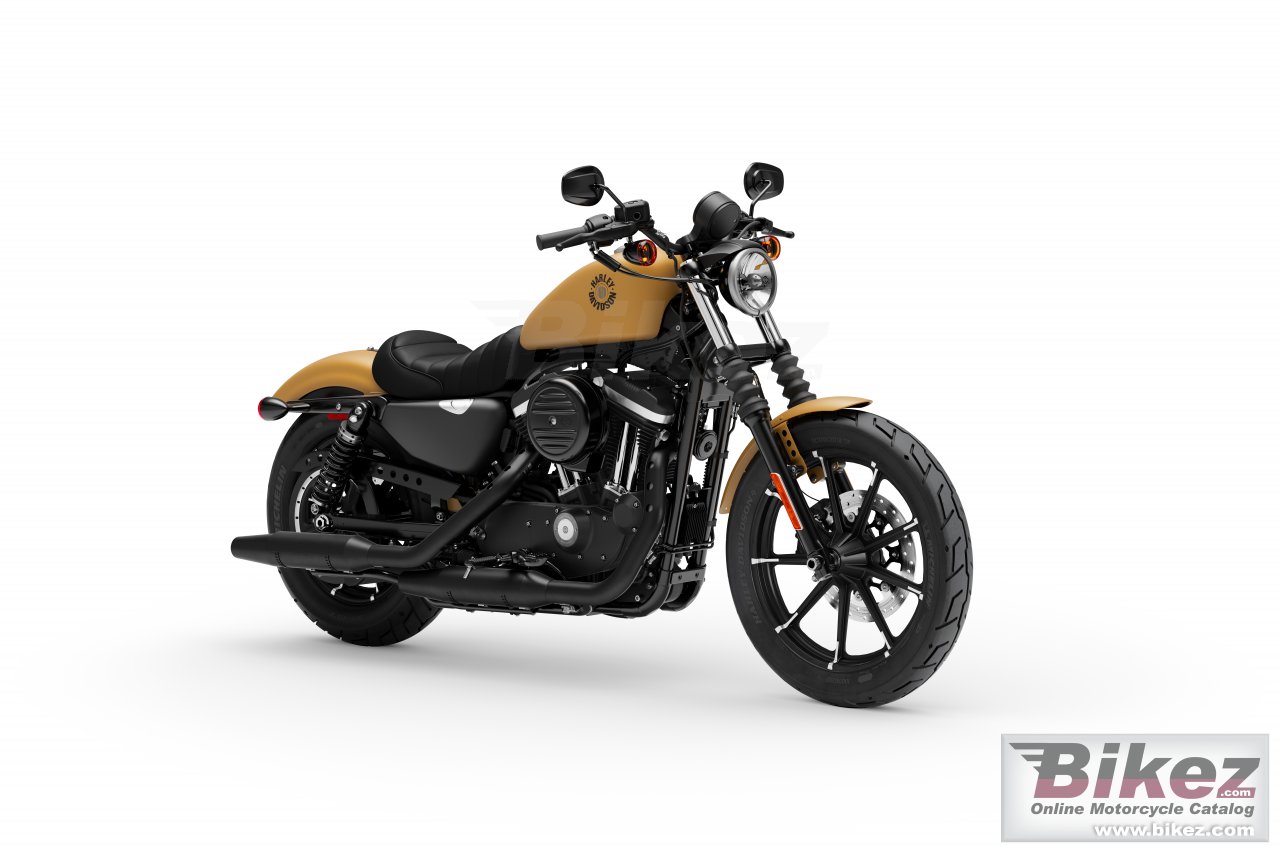 Harley Davidson Sportster Iron 883