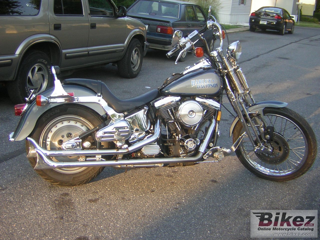 Springer Softail