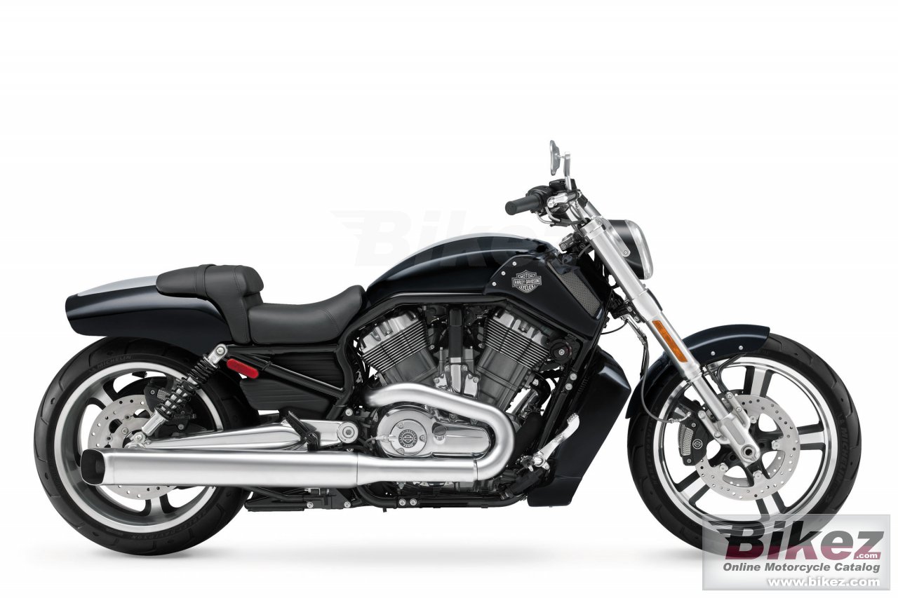V Rod Muscle