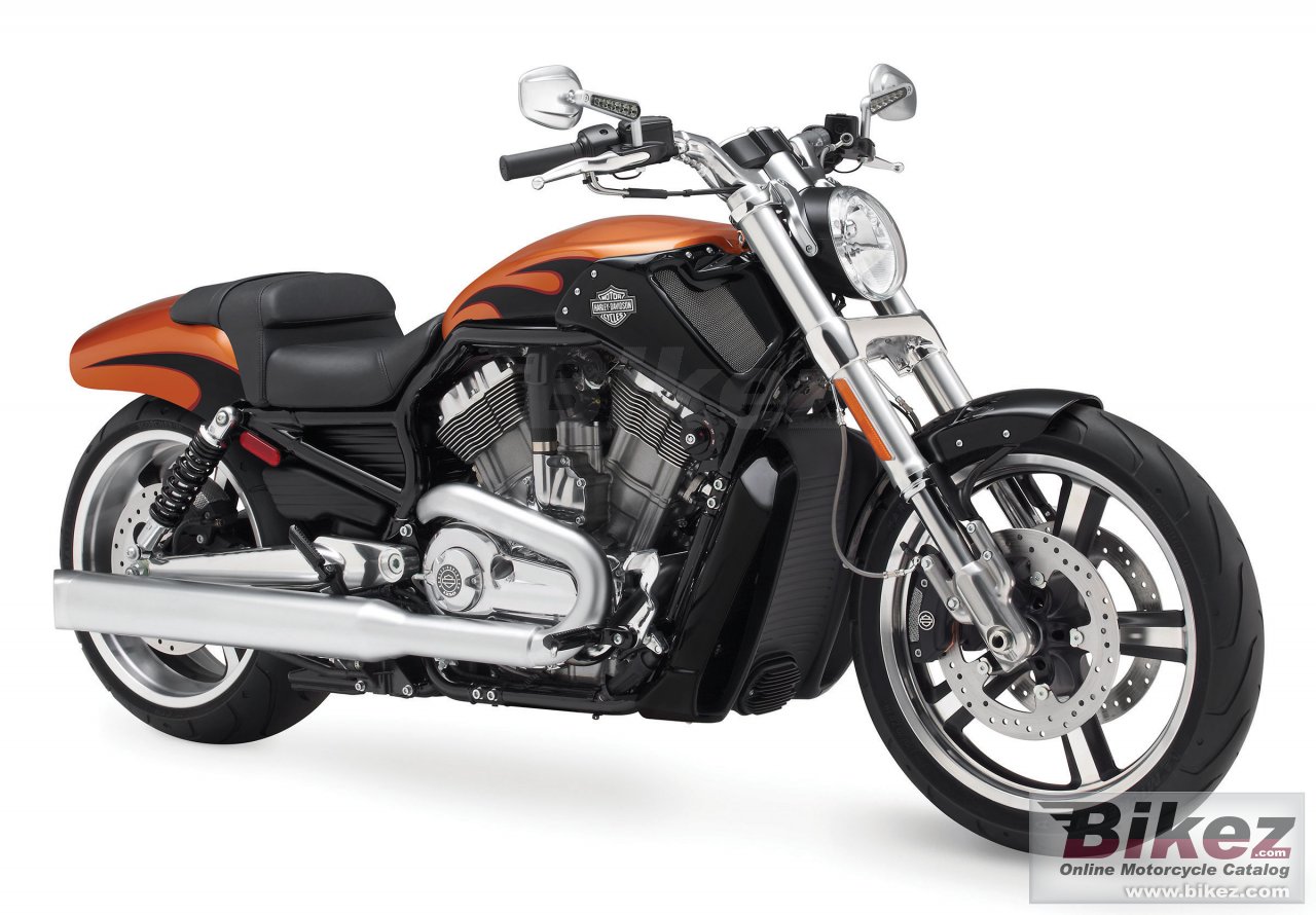 Harley Davidson V Rod Muscle