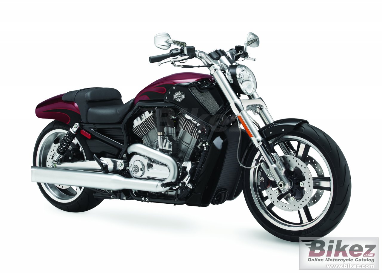 V Rod Muscle