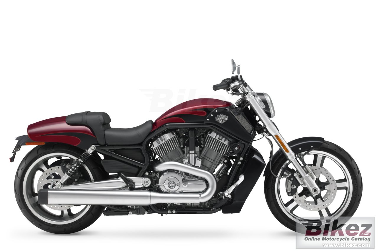 Harley Davidson V Rod Muscle
