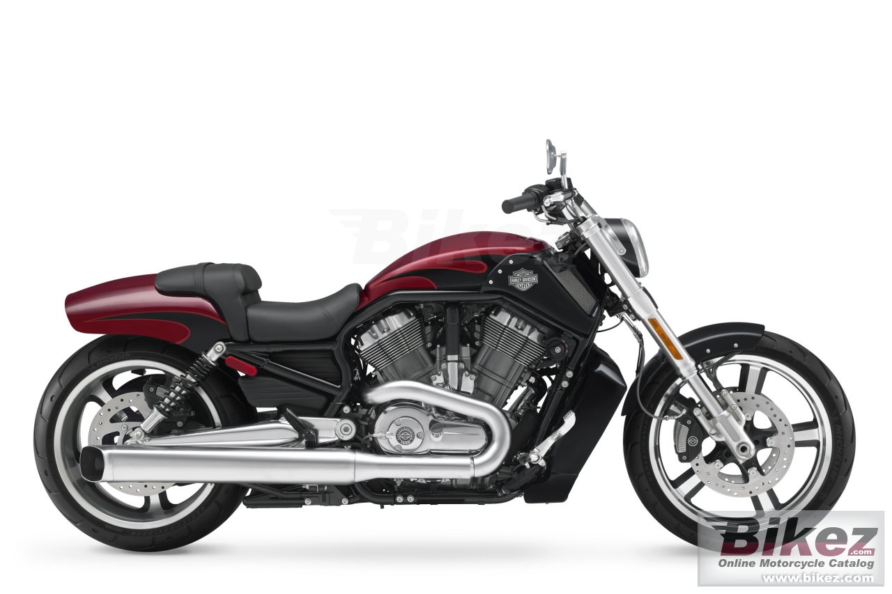 Harley Davidson V Rod Muscle