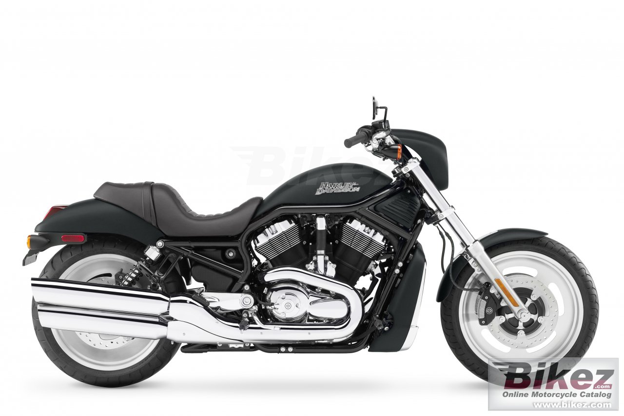 Vrscd Night Rod