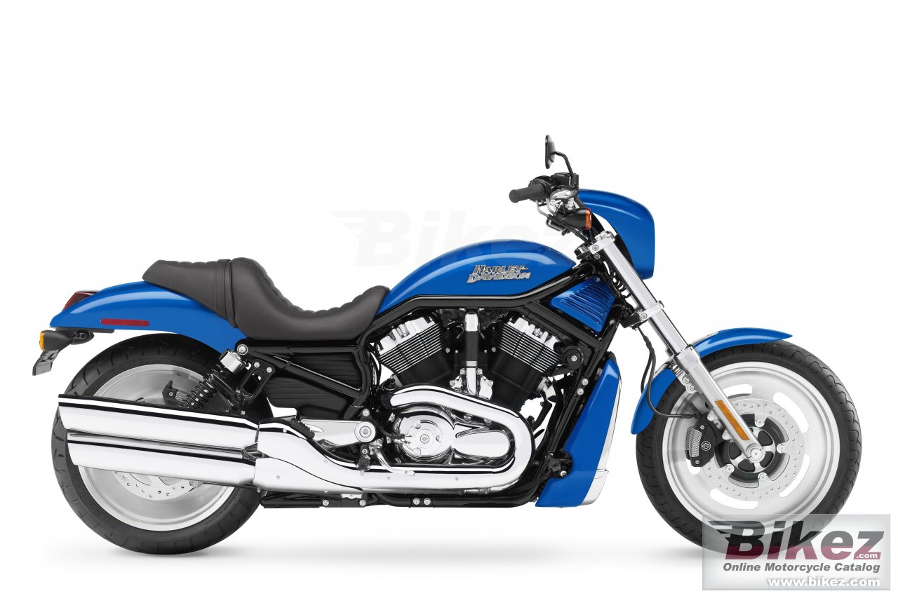 Vrscd Night Rod