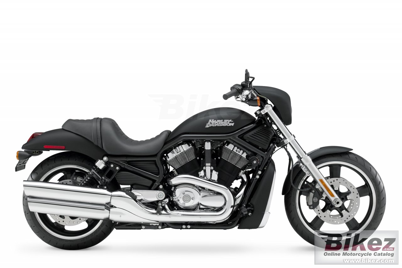 Vrscd Night Rod