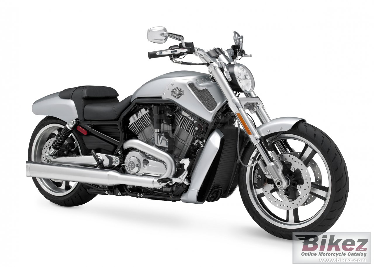 Vrscf V Rod Muscle