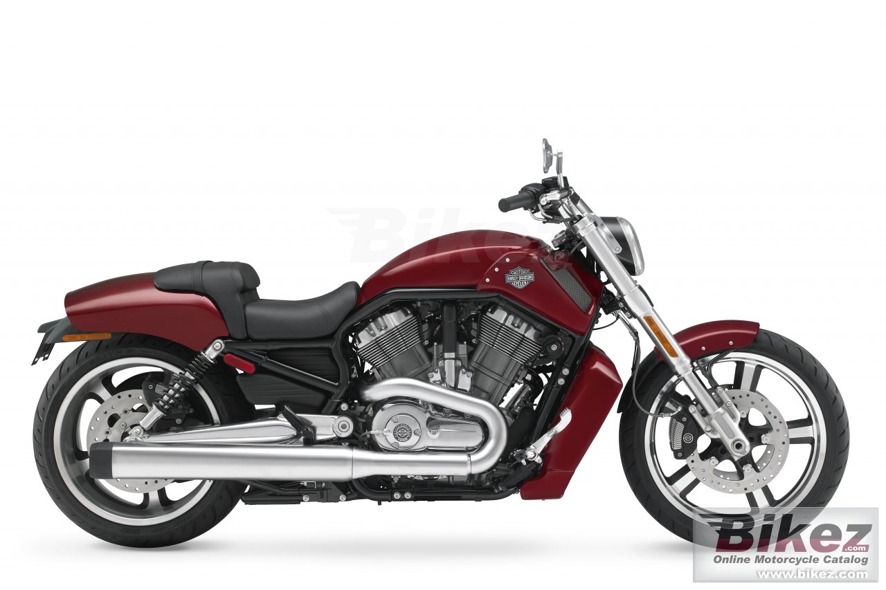 Harley Davidson Vrscf V Rod Muscle