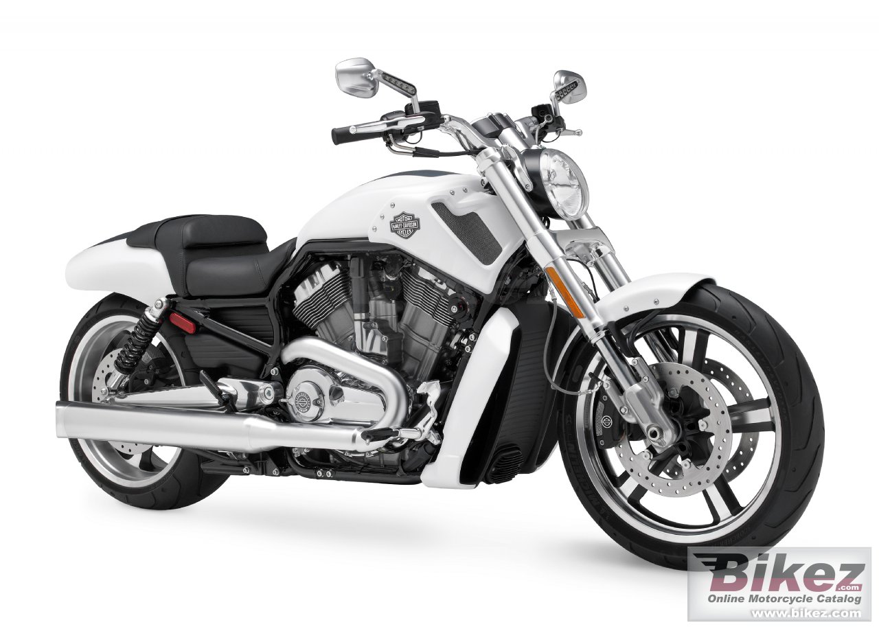Harley Davidson Vrscf V Rod Muscle