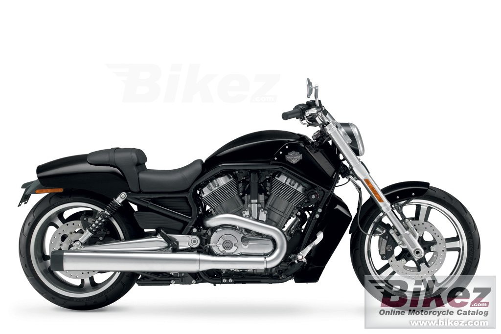 Harley Davidson Vrscf V Rod Muscle