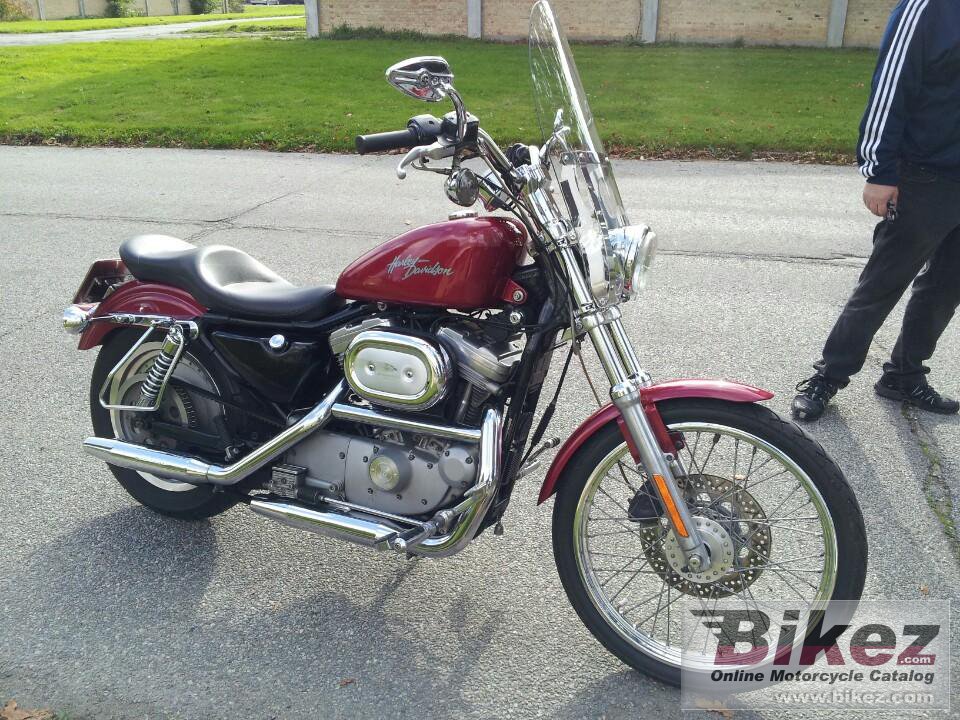 Xl 53 C Sportster Custom