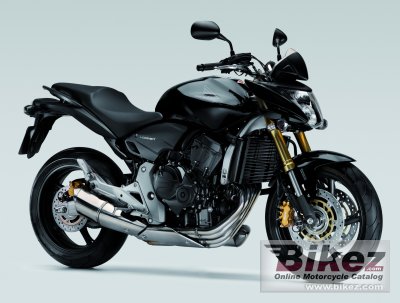 Honda Cb 600 F Hornet