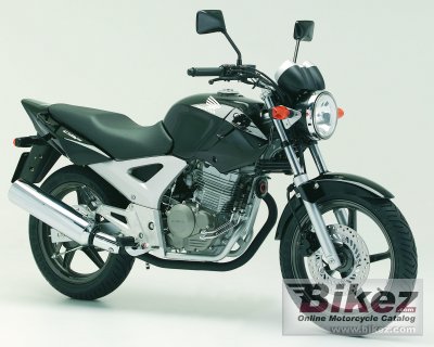 Cbf 250