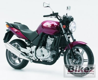 Cbf 500