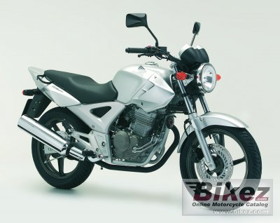 Cbf250