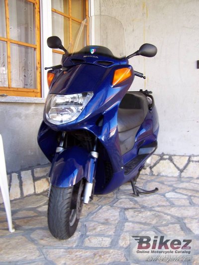 Fes 250 Foresight