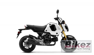 Grom Abs