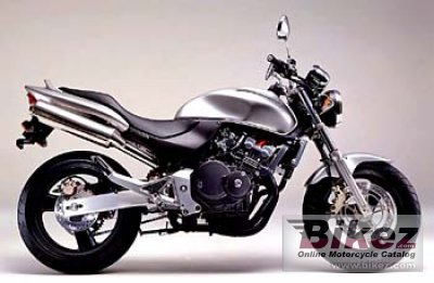 Hornet 250