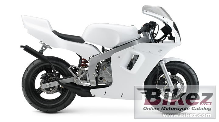 Nsr 50 R