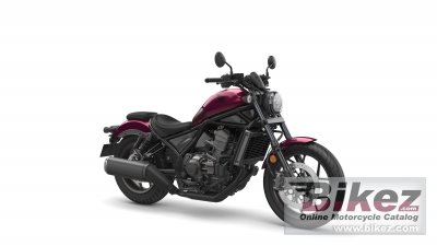 Rebel 1100
