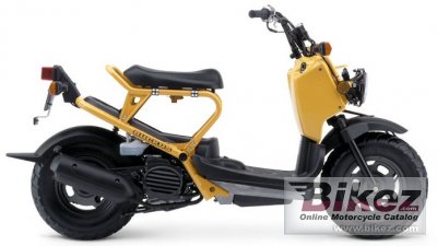 Ruckus