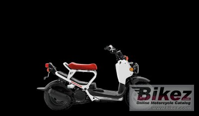 Honda Ruckus