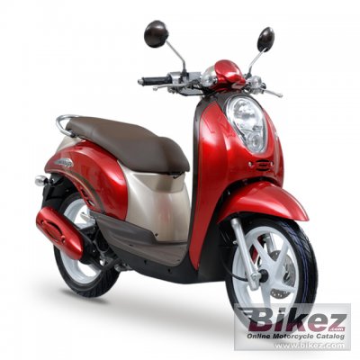 Scoopy