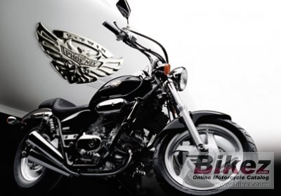 V Twin Magna