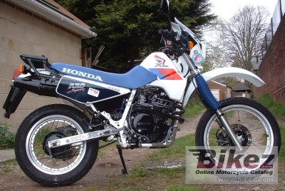 Xl 600 Lm