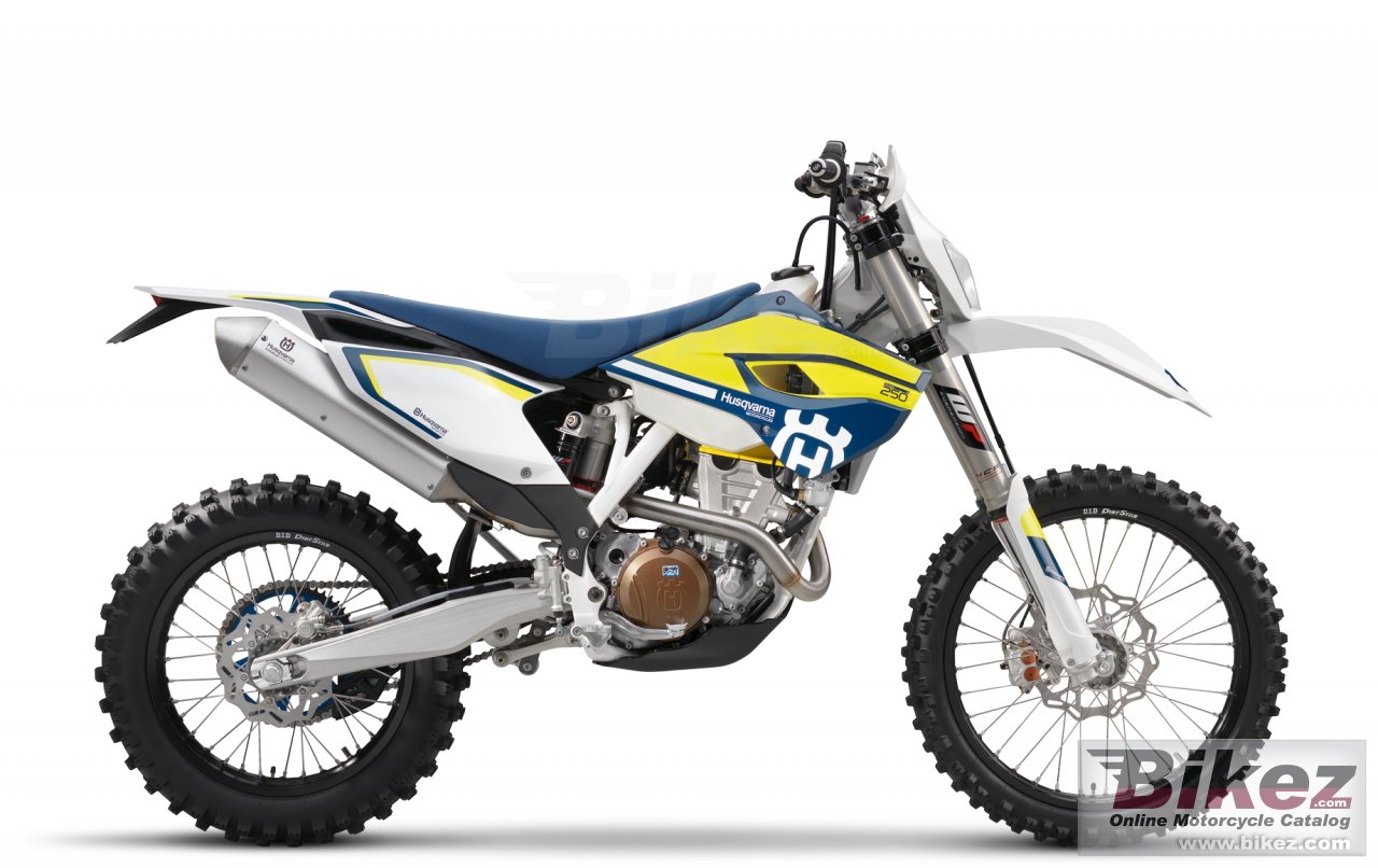 Fe 250