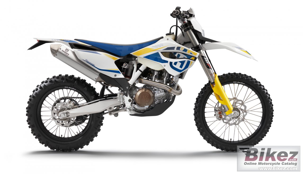 Fe450