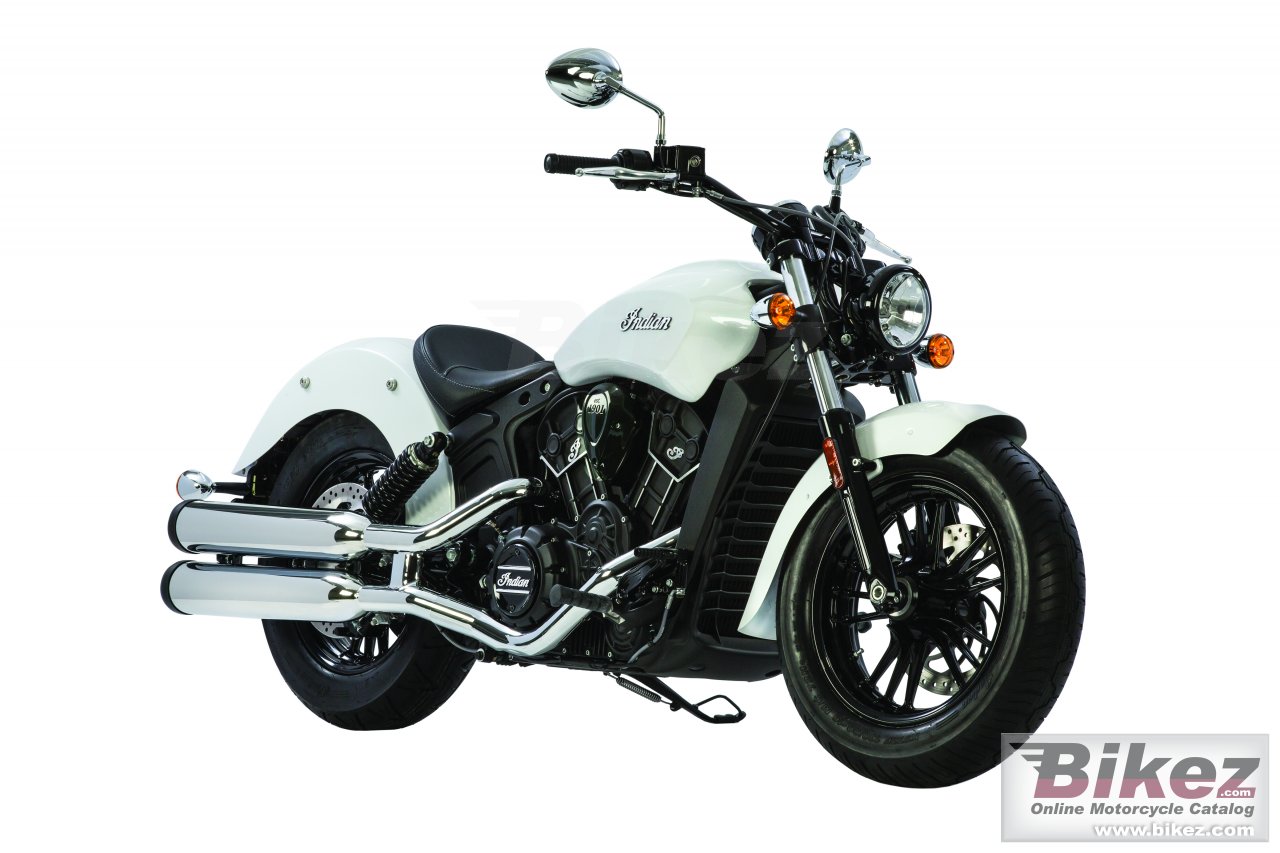 Scout Sixty
