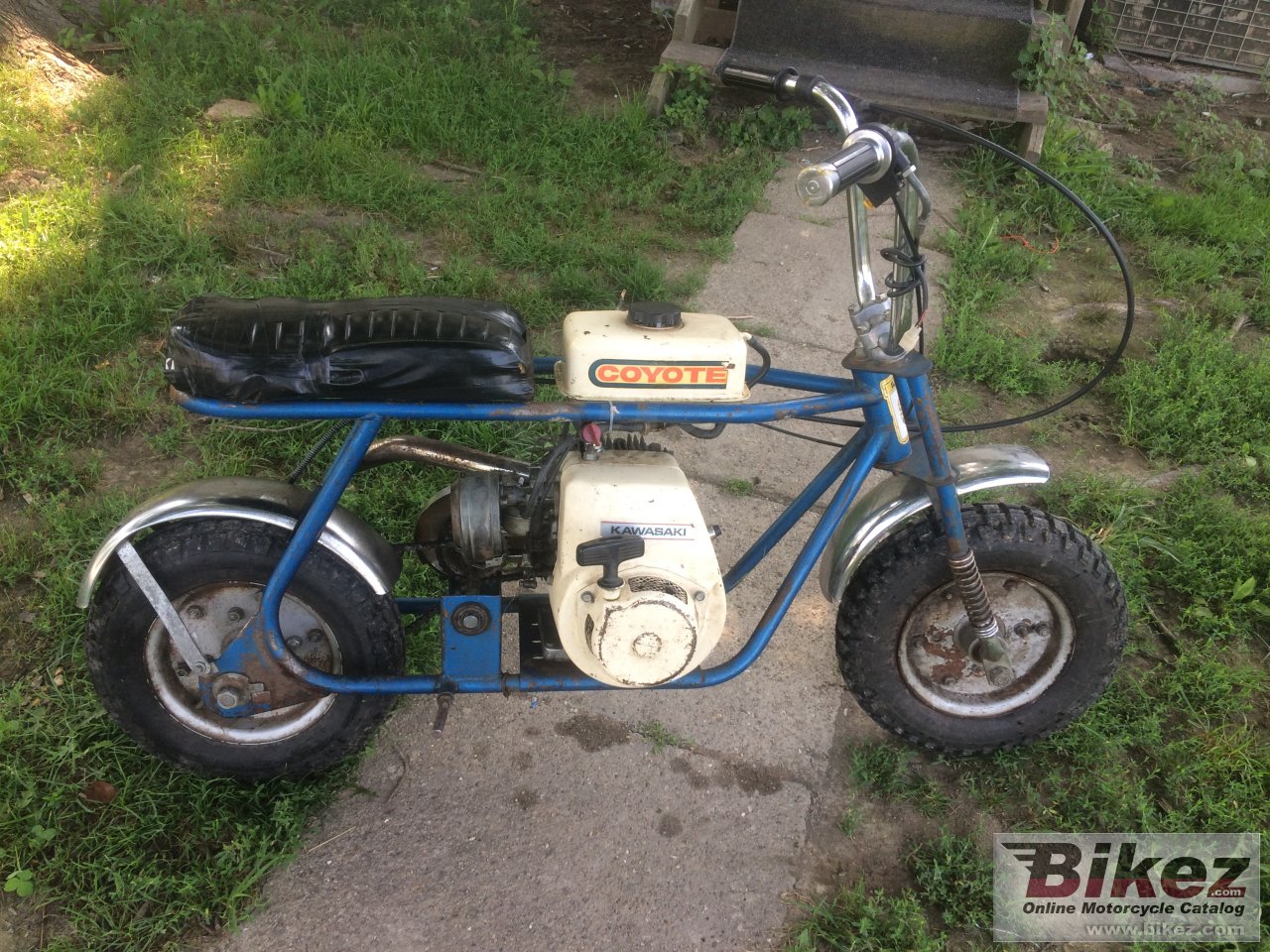 Coyote Mb1 A