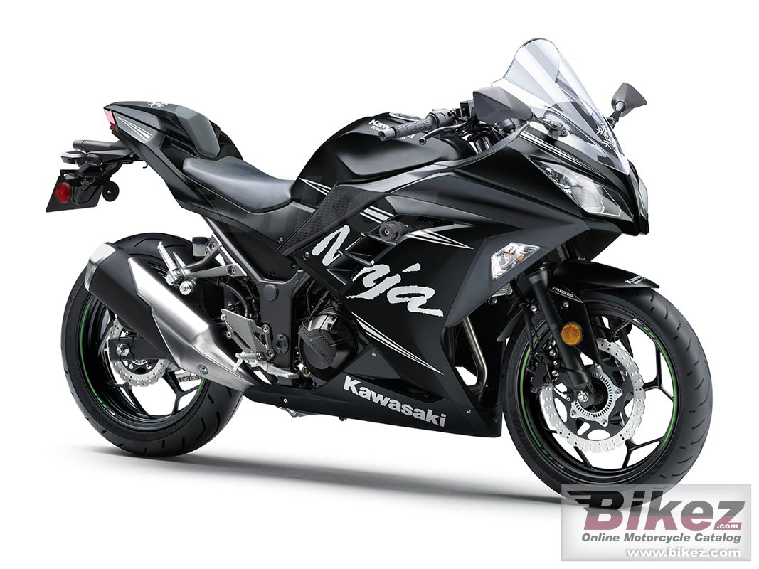 Ninja 300 Abs Winter Test Edition