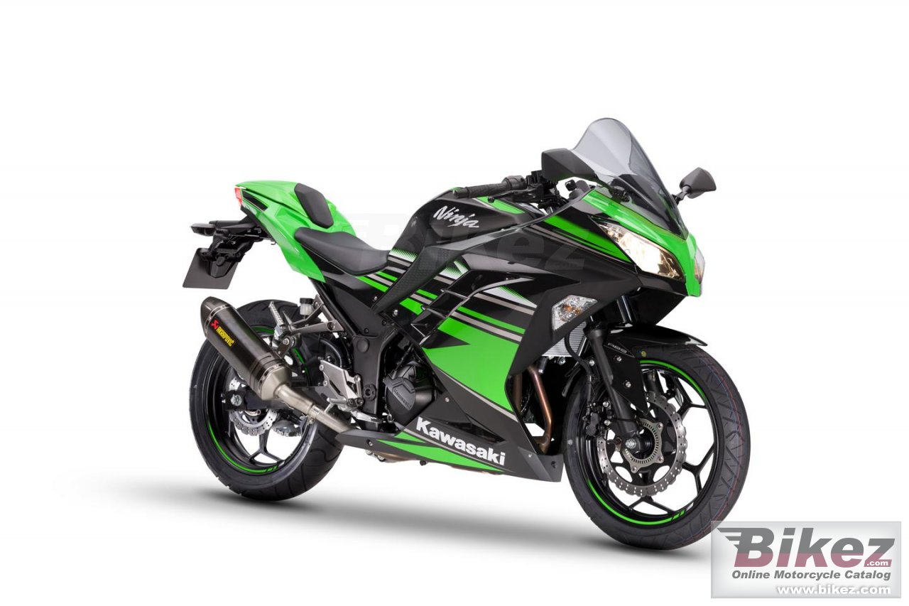 Kawasaki Ninja 300 Performance